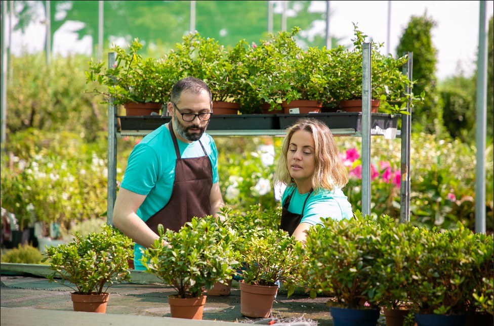 Diploma in Horticulture / Nursery Training