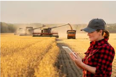Diploma in Agriculture